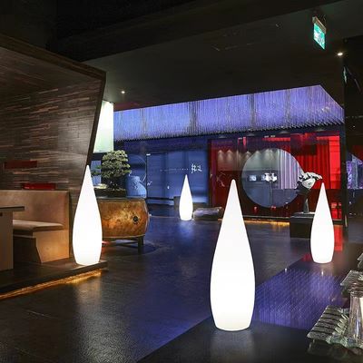 Lumière de sol à LED en plastique pour la décoration de jardins extérieurs