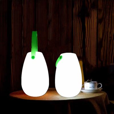 2700K CCT lampe LED plastique portable rechargeable pour restaurant